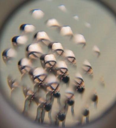 Foto Mery Horta. Modelo Yasmin Coelho.